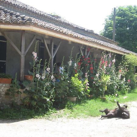 Chambres D'Hotes Le Chintre Queyssel Extérieur photo