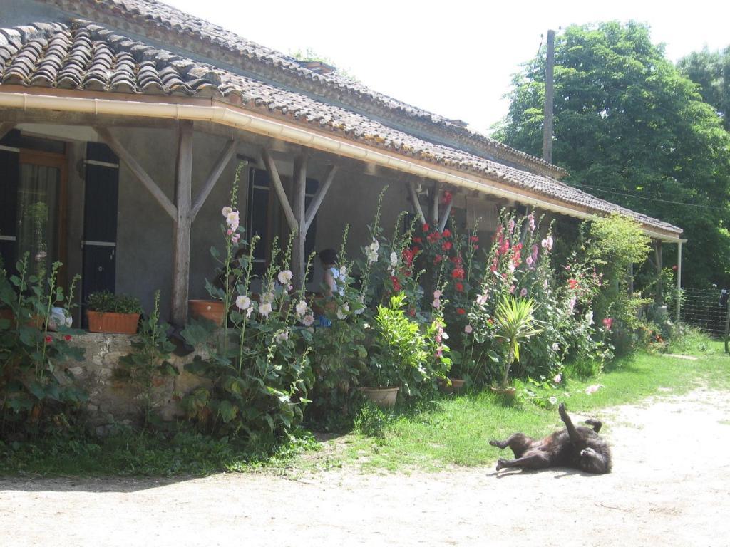 Chambres D'Hotes Le Chintre Queyssel Extérieur photo